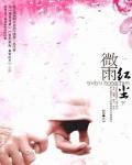 微雨紅塵