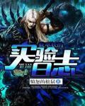 疯巫妖的实验日誌