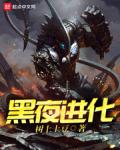 黑夜进化
