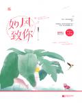 如風，致你