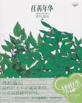 荏苒年華